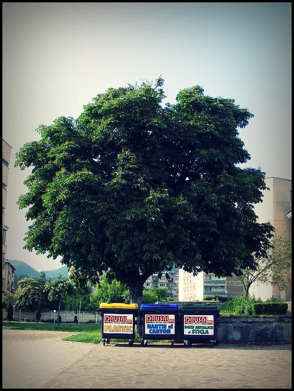 iubim natura.JPG